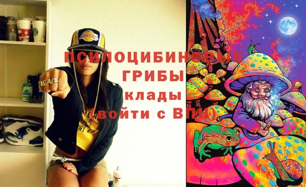 ECSTASY Белокуриха