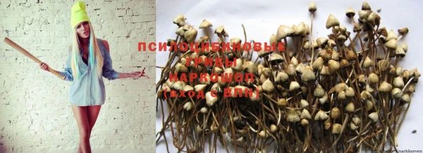 кокс Бугульма